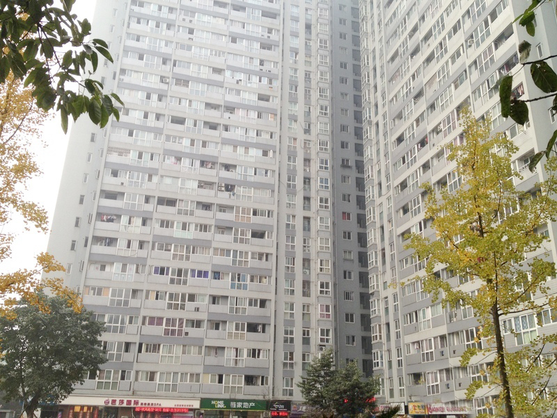 800x600c.jpg